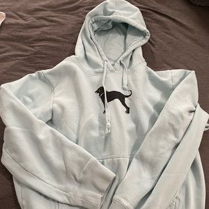 Blue/aqua Black Dog hoodie size large